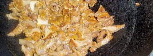 лазанья с лисичками и сельдереем. Шаг 4