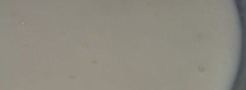 моя мясная лазанья. Шаг 2