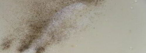 моя мясная лазанья. Шаг 3