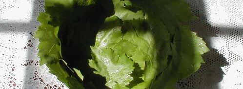 виноградная лазанья. Шаг 2