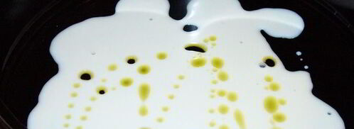 зеленая лазанья евразия. Шаг 3