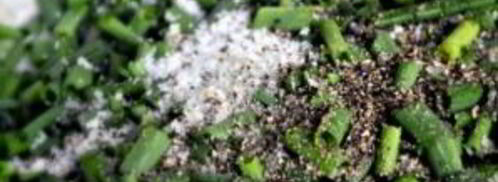 макароны в сметанном соусе. Шаг 9