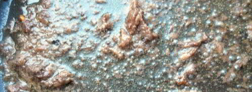 паста с шариками из тунца. Шаг 9