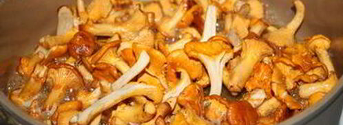 спагетти с лисичками в сливочном соусе. Шаг 3