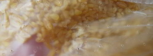 цукини фаршированные в сметанно-сырном соусе. Шаг 3