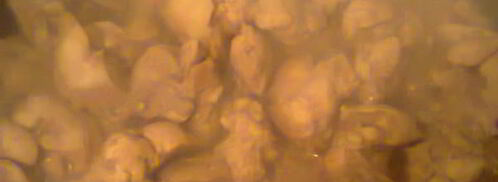 куриная печень с рисом. Шаг 2