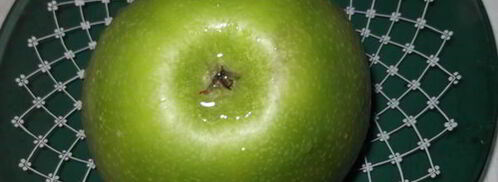 куриная печень с яблоком. Шаг 2