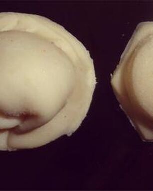 Идеальное тесто для пельменей