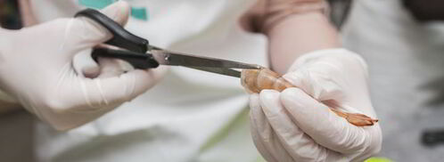 паэлья с морепродуктами и цыпленком. Шаг 4