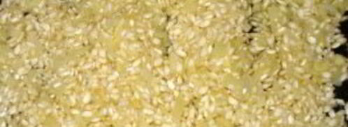 ризотто с мидиями. Шаг 2