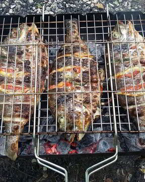 Дорада с овощами, запеченая на углях