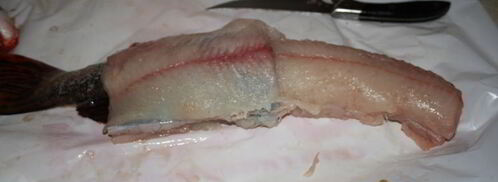 фаршированная щука. Шаг 6