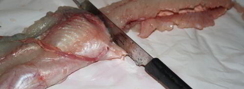 фаршированная щука. Шаг 7