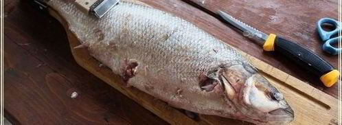 рыба в капусте. Шаг 2