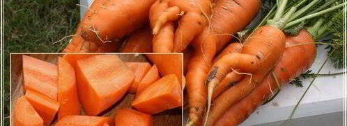 рыба в капусте. Шаг 10