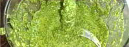 рыба, запеченная с песто. Шаг 3