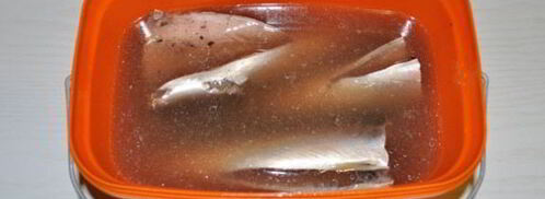 скумбрия домашнего холодного копчения. Шаг 2