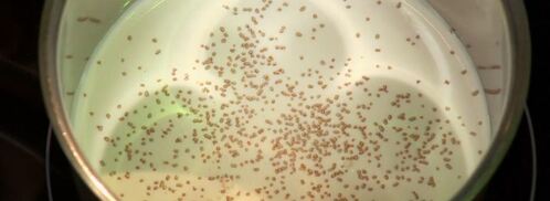 тунец в зеленом чае с фруктовым гарниром и сливочным соусом. Шаг 4