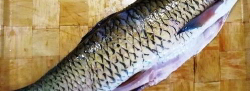 запеченный белый амур с овощами. Шаг 3