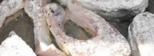 жареная красная рыба. Шаг 4