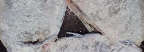 жареные карасики в сметане с петрушкой. Шаг 7