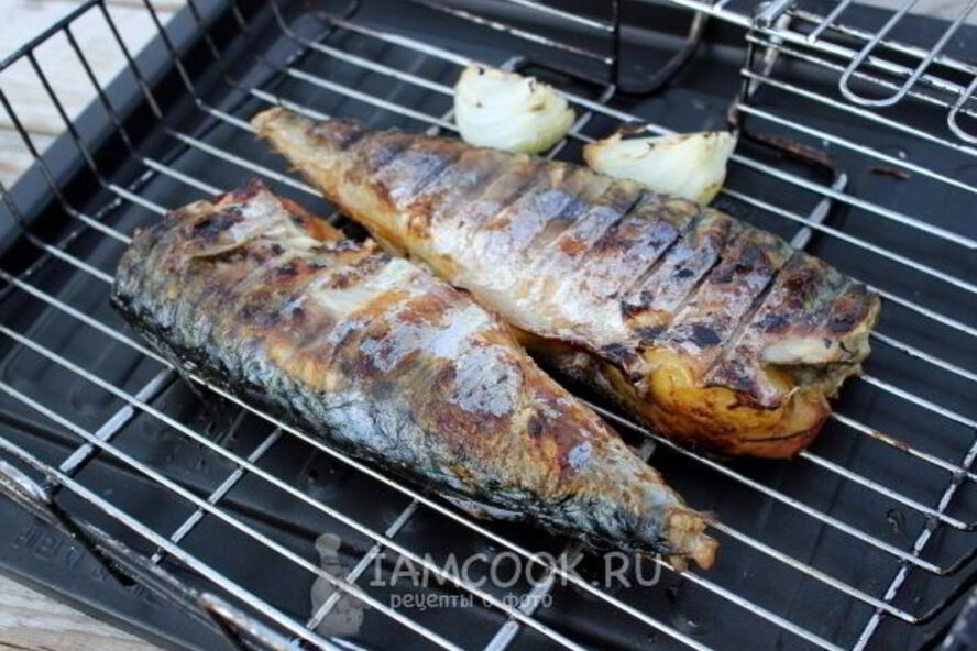 Рецепт шашлык из скумбрии на решетке