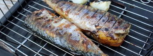 шашлык из скумбрии на решетке. Шаг 11