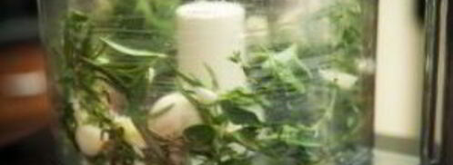 стейк на решетке. Шаг 4