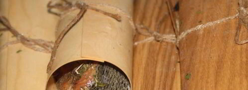 стейки форели в гриль-бумаге на мангале. Шаг 4