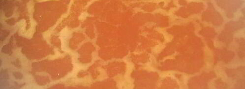 тефтели в томатном соусе. Шаг 2