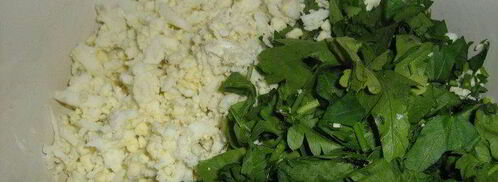 паровые вареники с зеленью и яйцом. Шаг 2