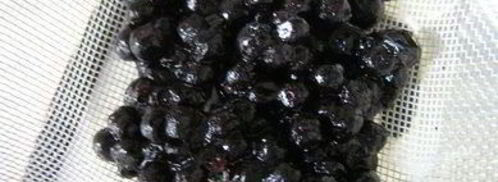 вареники с черникой и соусом под шафе. Шаг 5