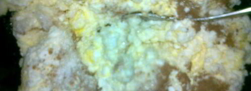 вареники с творожно-ореховой начинкой. Шаг 2