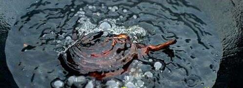 жаркое в казане. Шаг 49