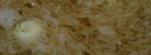 гороховая каша с мясом. Шаг 3