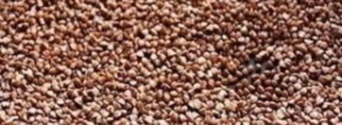 гречка, томленная со свининой. Шаг 2