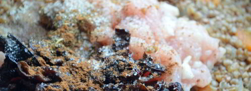 гречневая каша по-царски. Шаг 4