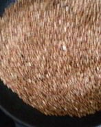 Рассыпчатая гречка, сваренная в сковороде