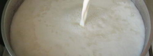 каша рисовая молочная с тыквой. Шаг 6