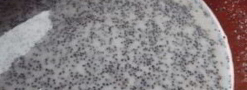 кутья с халвой. Шаг 11