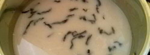 йога чай. Шаг 3