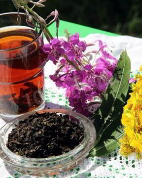 Иван чай зверобой