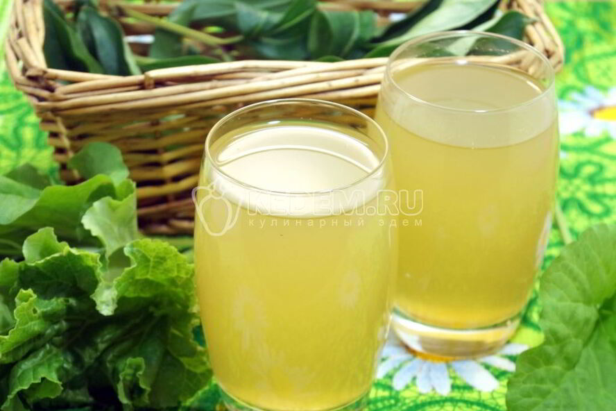 Рецепт холодный чай с ревенем