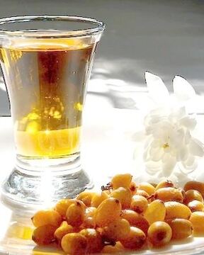 Домашнее облепиховое вино из облепихи