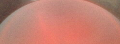 кисель из ревеня. Шаг 3