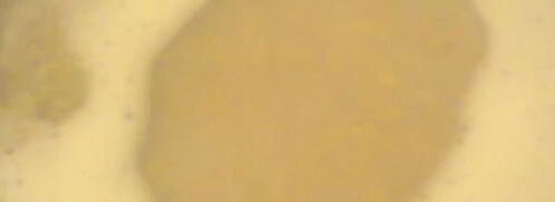 овсяный кисель. Шаг 2