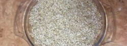 коктейль из пророщенных зерен гречихи. Шаг 3