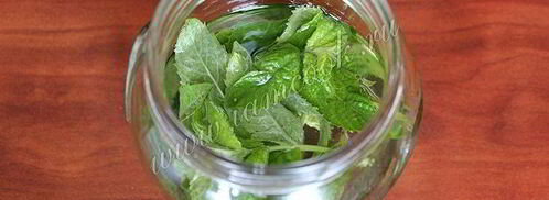 мятный ликер. Шаг 3