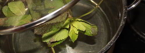 лимонный напиток с мятой. Шаг 2