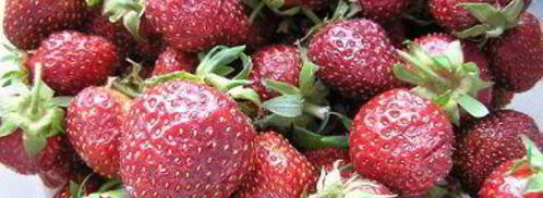 клубничный морс. Шаг 3